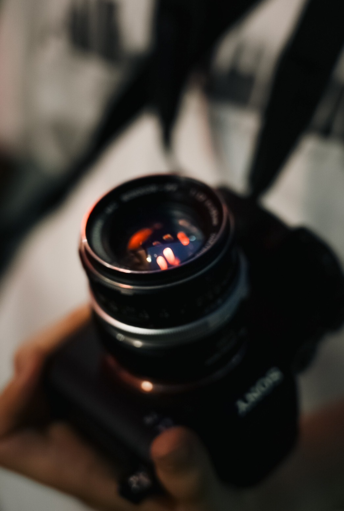 法政大学カメラ部学祭展