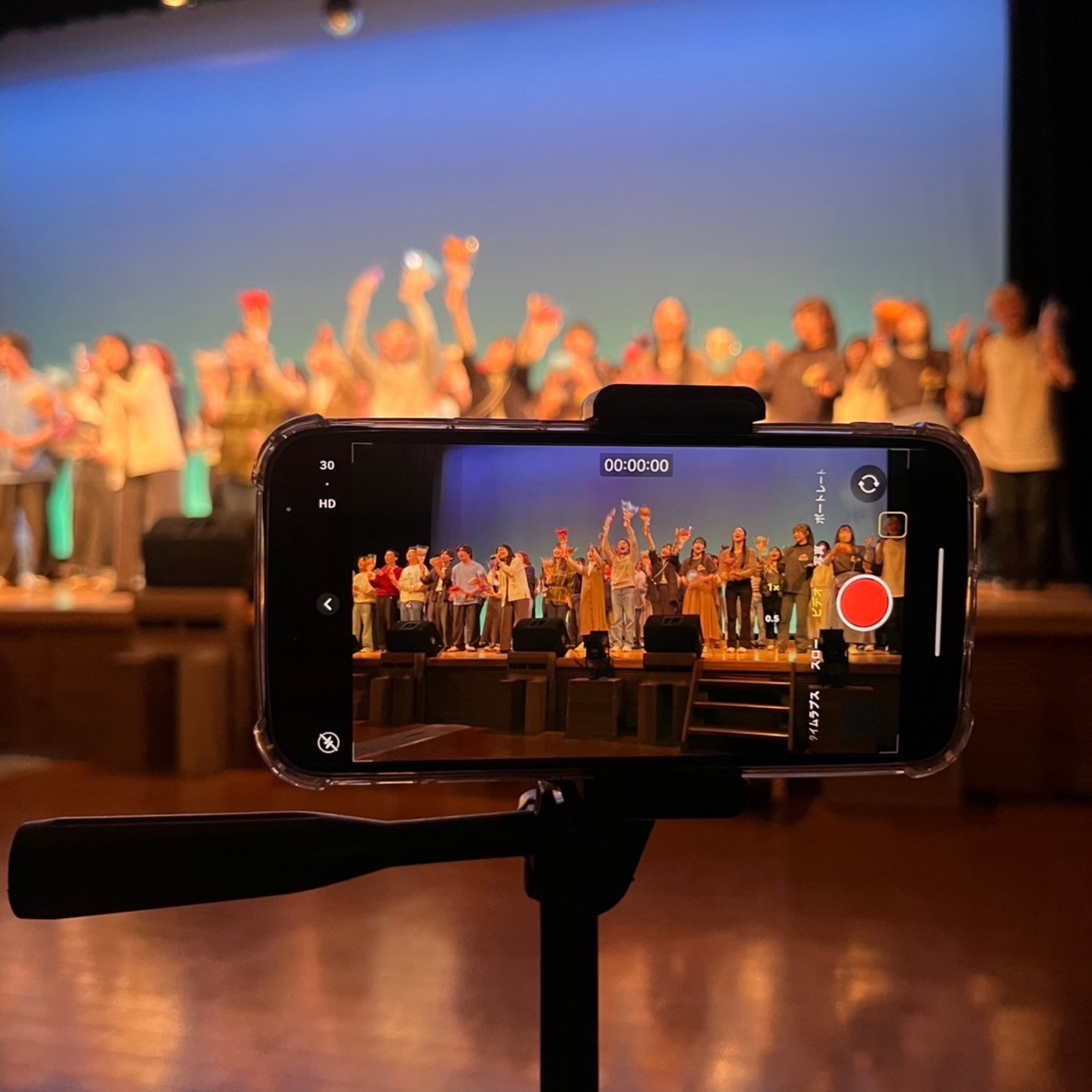 Ticket to wonderland