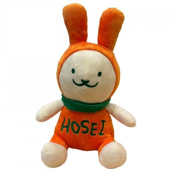 えこぴょんマスコット（大）