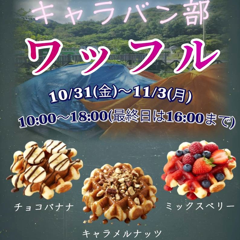 山の携行食フルーツワッフル!