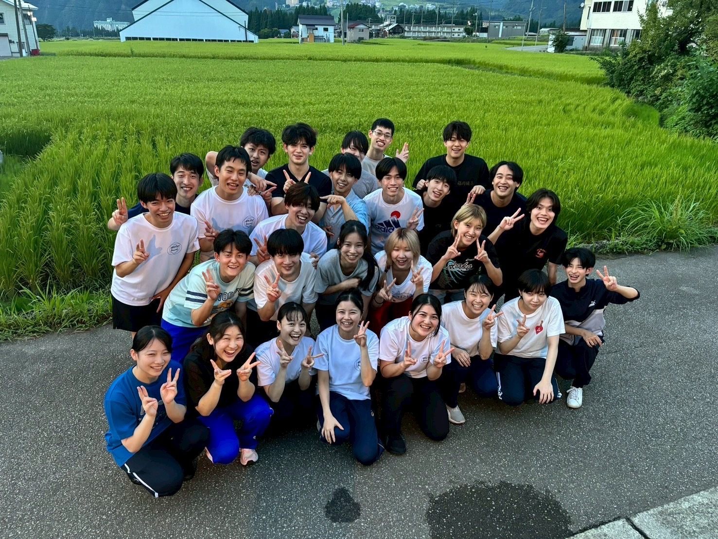 フルーツパラダイス