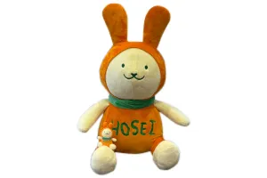 65ｃｍえこぴょん